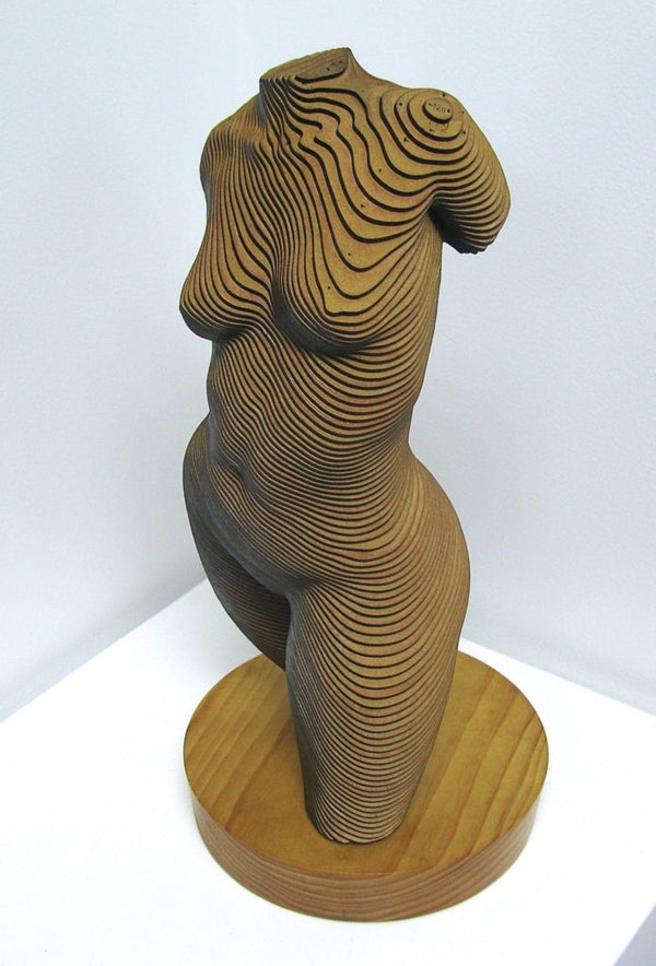 Rosie, the Topology of the Torso